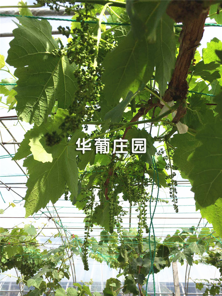 商貿大廈防雷工程